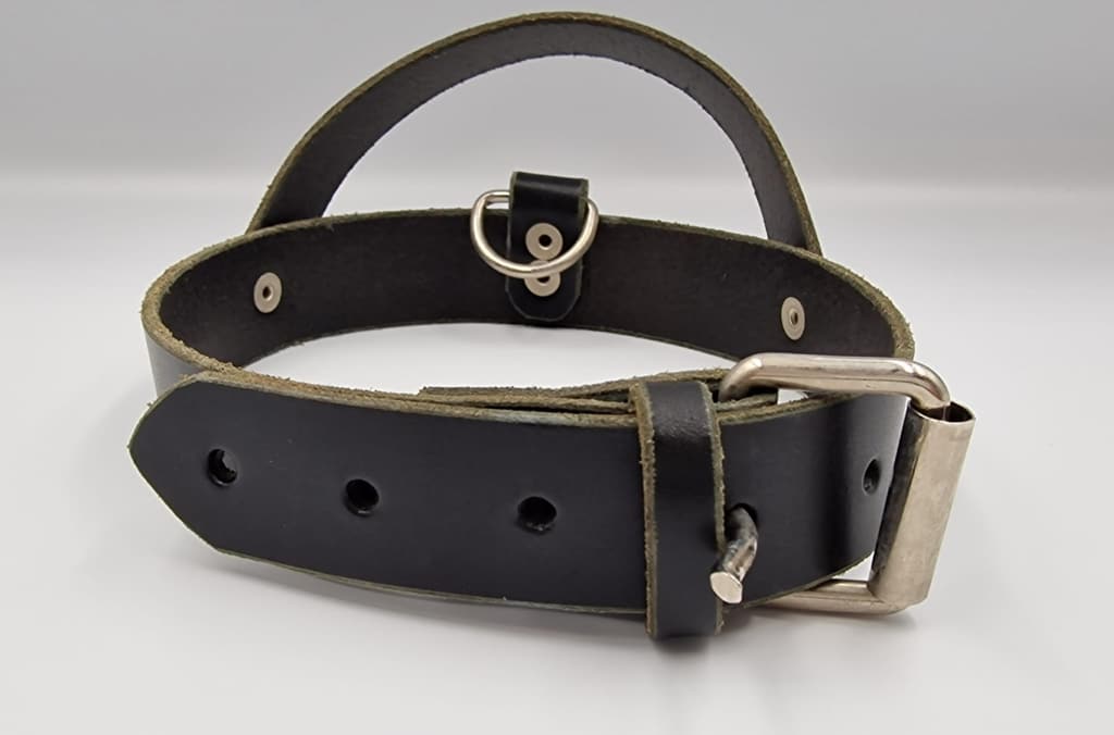 Hundehalsband schwarz A0199